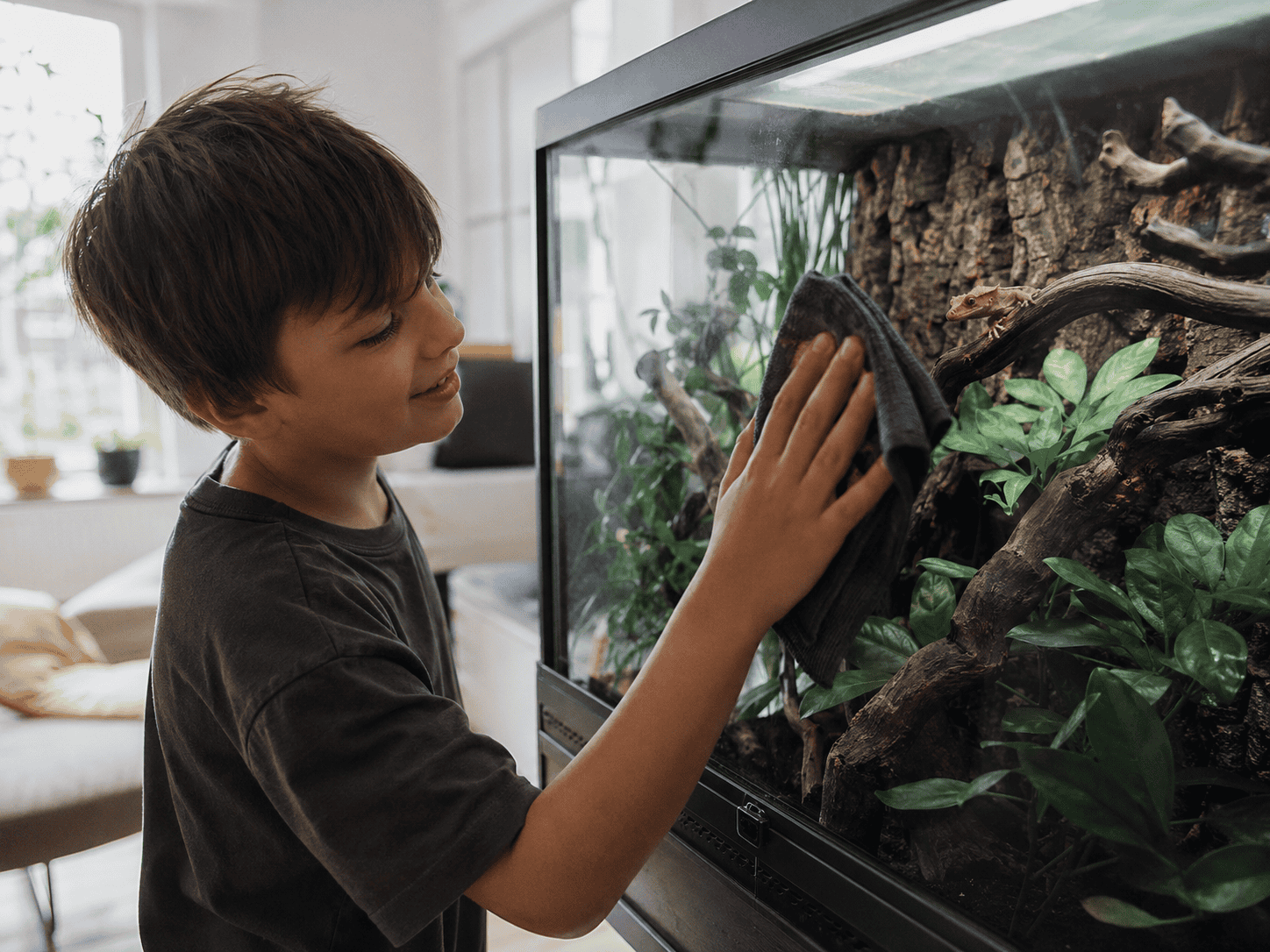 child cleaning terrarium
